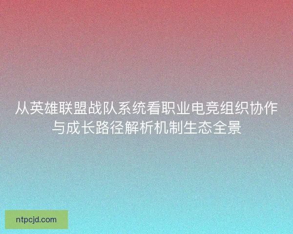 从英雄联盟战队系统看职业电竞组织协作与成长路径解析机制生态全景
